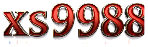 xs9988 logo